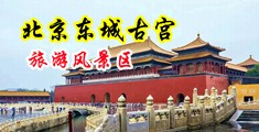 亚州搞屄视频中国北京-东城古宫旅游风景区